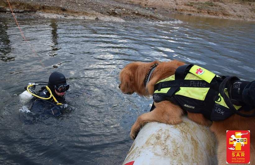 Fot. facebook/Psieego.pl