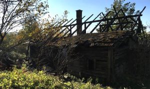 Fot. Marcin Płaszczyca