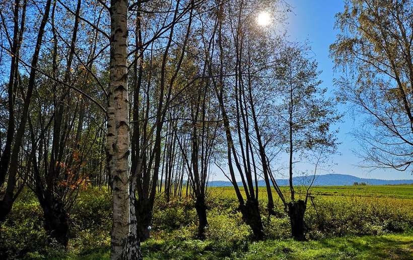 Fot. Karina Płaszczyca