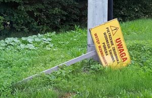 Fot. Karina Płaszczyca