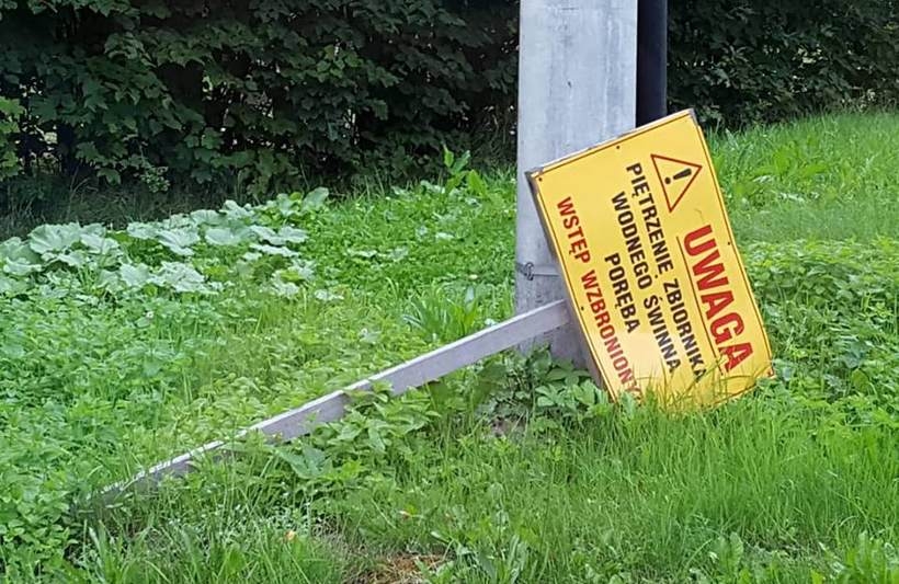 Fot. Karina Płaszczyca