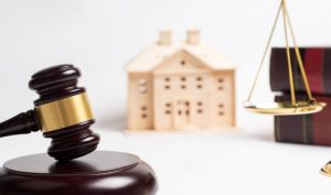 Fot. materiały promocyjne reklamodawcy