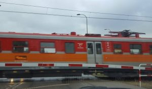 Fot. Karina Płaszczyca