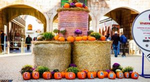 Fot. Materiały Prasowe