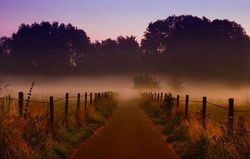 Fot. Materiały promocyjne należące do reklamodawcy