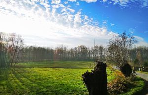 Fot. Karina Płaszczyca