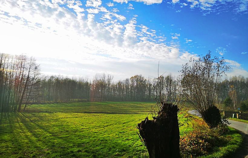 Fot. Karina Płaszczyca