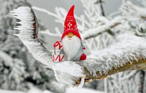 Fot. materiały należące do Apilandii