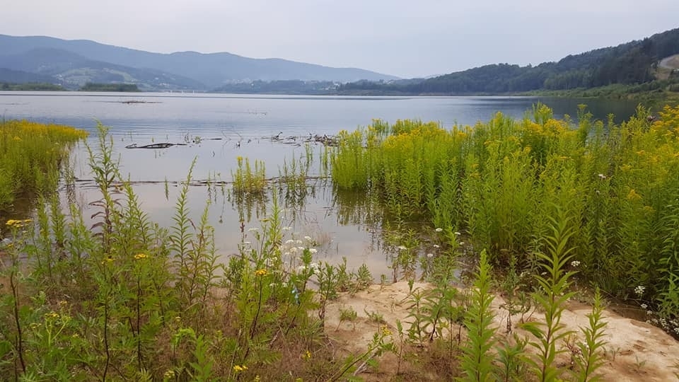 Fot. Karina Płaszczyca/Archiwum