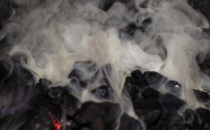 Fot. UMWM w Krakowie