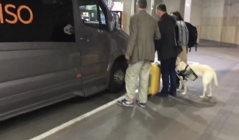 Fot. kadr z filmu na Facebook/EwaZadrożna