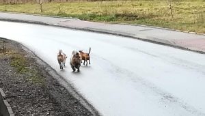Fot. Materiały Prasowe Urząd Gminy