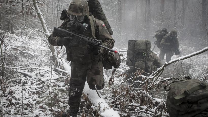 Fot. Materiały Prasowe