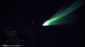 Fot. Materiały Prasowe