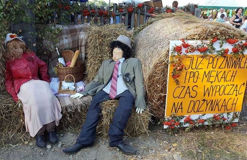 Fot. Karina Płaszczyca