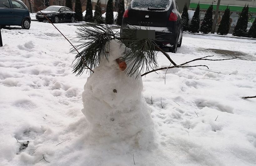 Fot. Karina Płaszczyca