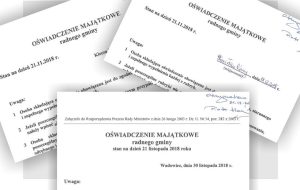 Fot. na podstawie oświadczeń radnych