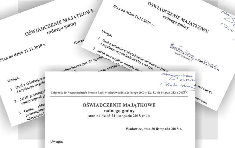 Fot. na podstawie oświadczeń radnych