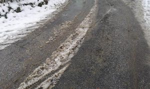 Fot. Karina Płaszczyca