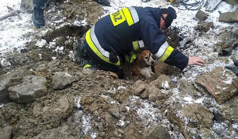 Fot. Facebook/ OSP Lanckorona