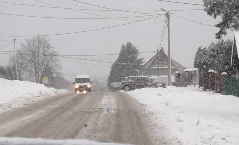 Fot. Karina Płaszczyca