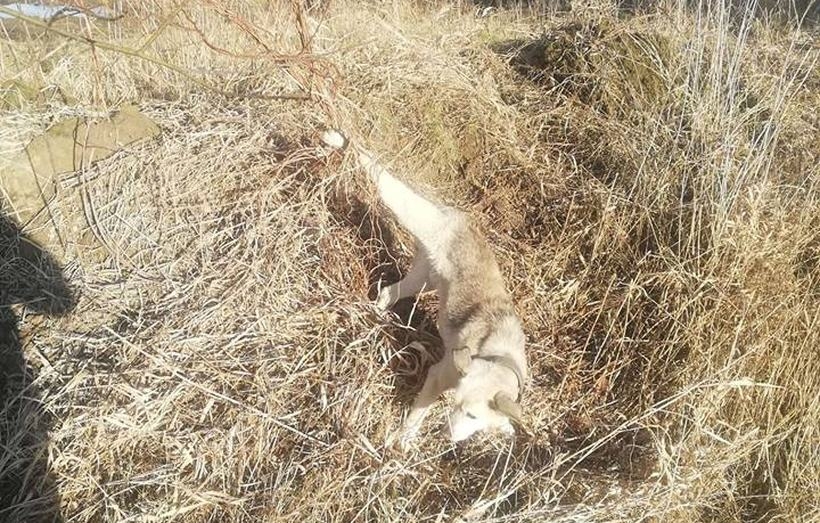 Fot. Facebook/ Łukasz