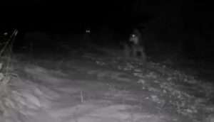 Fot. Facebook.pl/Marcin Martini - Wadowice na wesoło