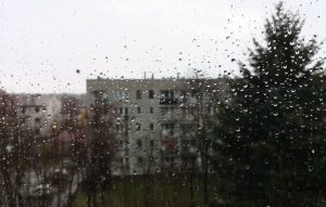 Fot. Karina Płaszczyca