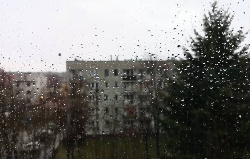 Fot. Karina Płaszczyca