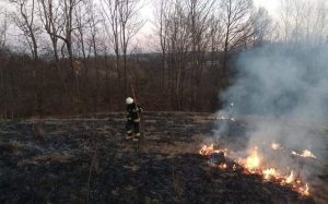 Fot. Facebook/ OSP Lanckorona