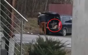 FOt. kadr z filmu na Facebook/ DK52Info