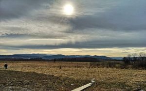 Fot. Karina Płaszczyca