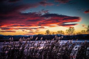 Fot. Marcin Płaszczyca