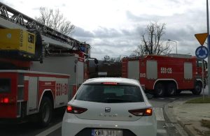 Fot. Karina Płaszczyca