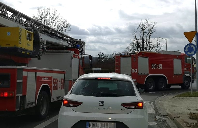 Fot. Karina Płaszczyca