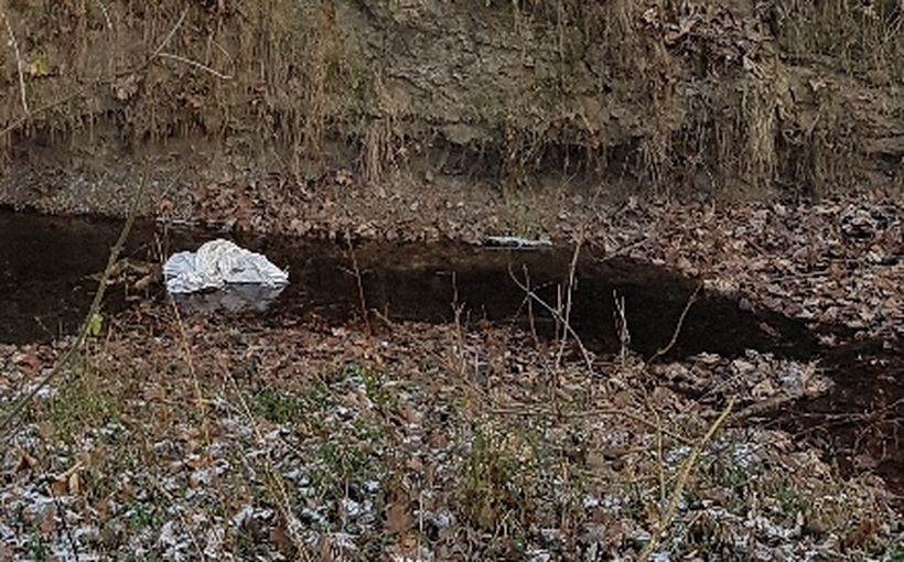 Fot. nadesłane #dlawadowice24