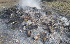 Fot. nadesłane #dlawadowice24