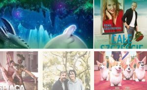 Fot. materiał prasowy