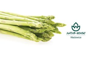 Fot. materiał prasowy należący do reklamodawcy