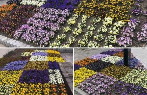 Fot. Marcin Płaszczyca