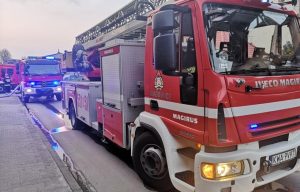 Fot. Karina Płaszczyca