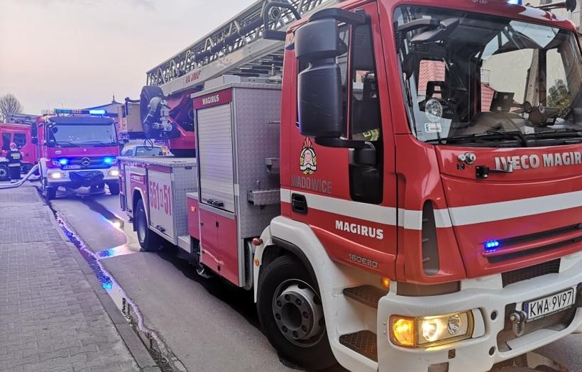 Fot. Karina Płaszczyca