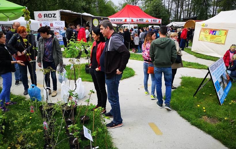 Fot. Karina Płaszczyca