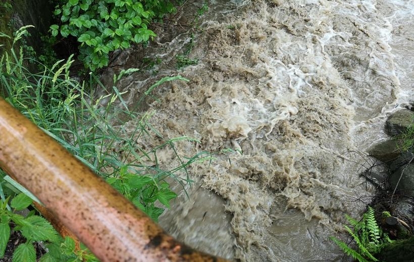 Fot. Karina Płaszczyca