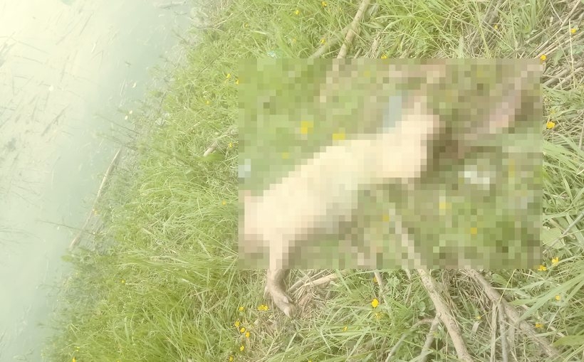 Fot. nadesłane #dlajoomla.wadowice24.promo-peak.ovh