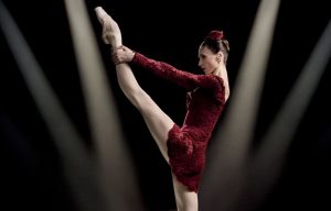 Fot. Materiał prasowy WCK