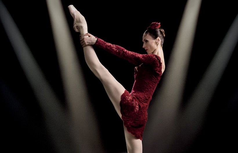 Fot. Materiał prasowy WCK