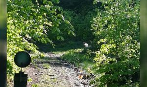 Fot. Nadesłane dla joomla.wadowice24.promo-peak.ovh