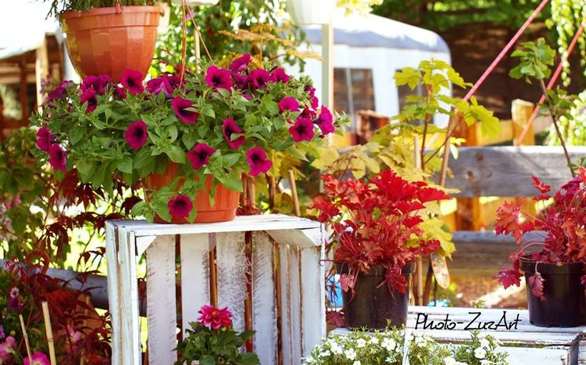 Fot. materiał prasowy