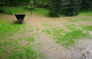 Fot. Facebook/ Marcin Gładysz